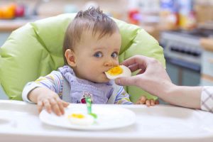 alimentos solidos para bebé