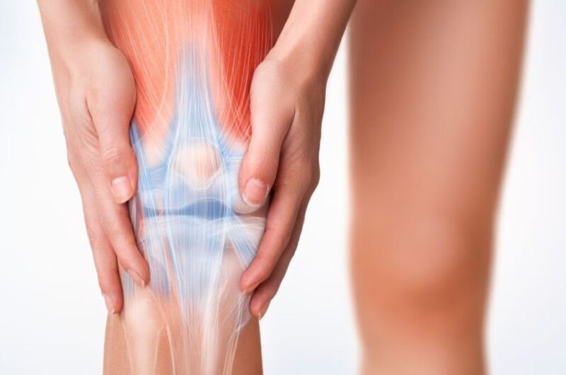 animación cartílago de rodilla