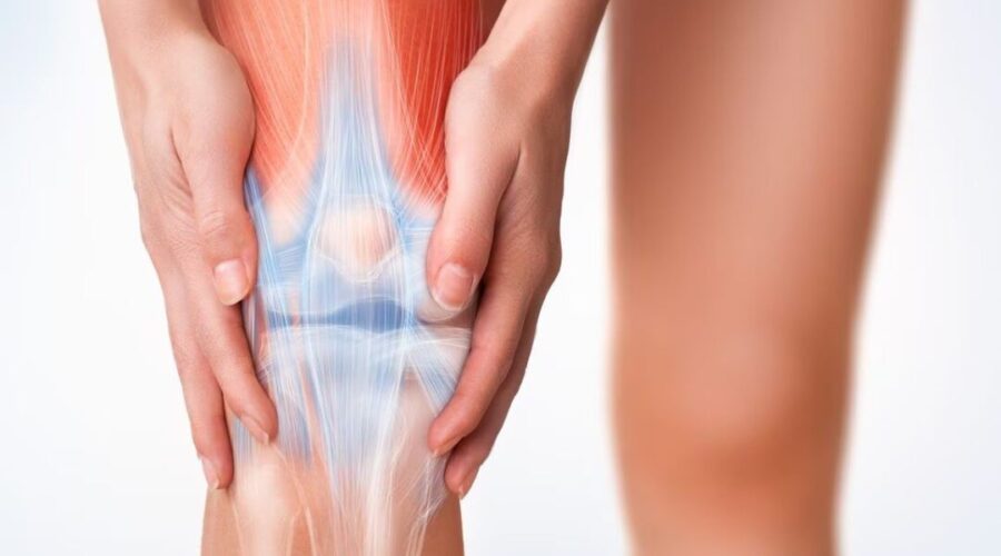 animación cartílago de rodilla