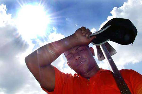 trabajo bajo el sol